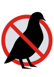 No pigeon icon