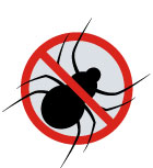 No spider icon